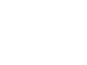 Palace-Logo-white-300x225-1 (1)
